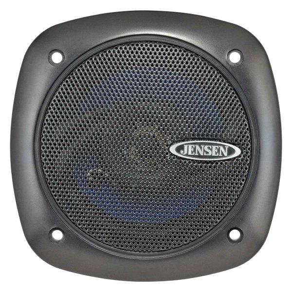 ASA Electronics® - Custom Fit Speakers