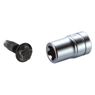 Assenmacher® - Lobe Socket