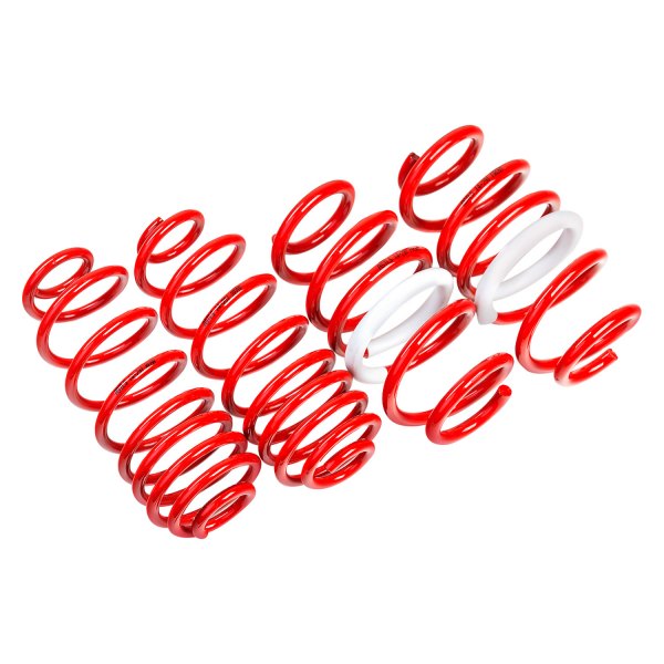 AST Suspension® - 1" x 1" Front and Rear Lowering Coil Springs