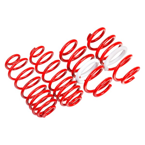 AST Suspension® - 2" Rear Lowering Coil Springs 