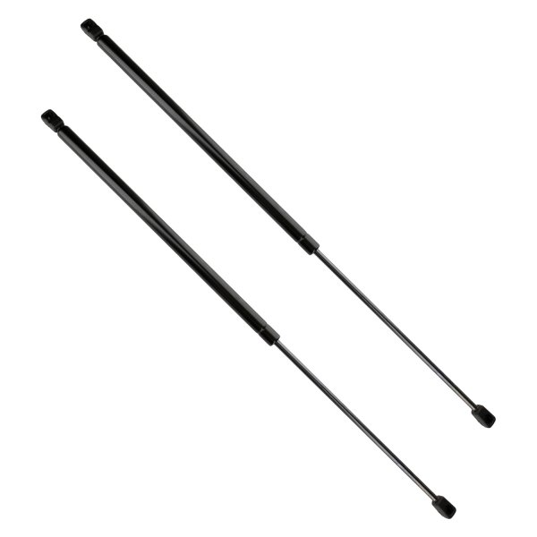 Atlas Lift® - Driver and Passenger Side Tailgate Lift Support Set