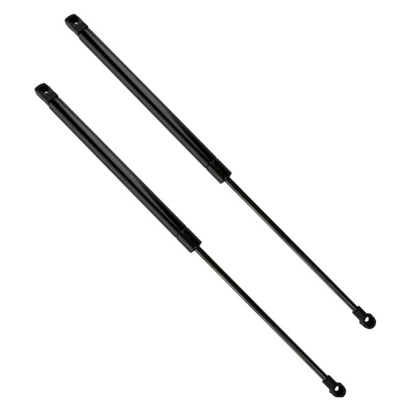 Atlas Lift® - Driver and Passenger Side Tailgate Lift Support Set