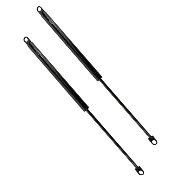 Atlas Lift® - Driver and Passenger Side Tailgate Lift Support Set