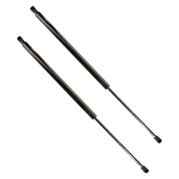 Atlas Lift® - Driver and Passenger Side Liftgate Lift Support Set