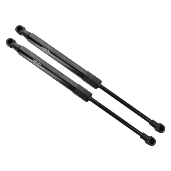 Atlas Lift® LS11953 Lift Support