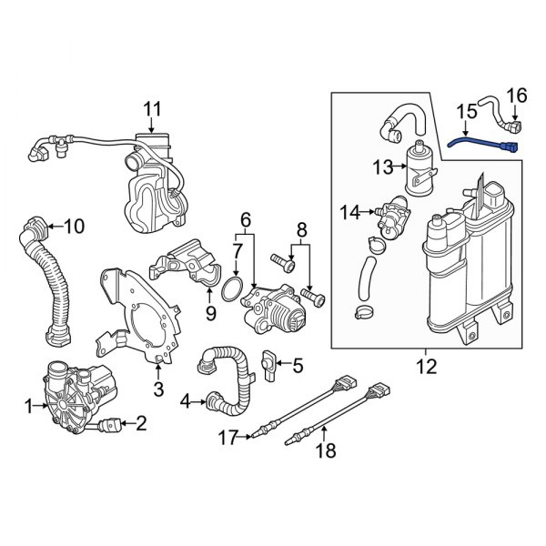 Evaporative Emissions System Lines