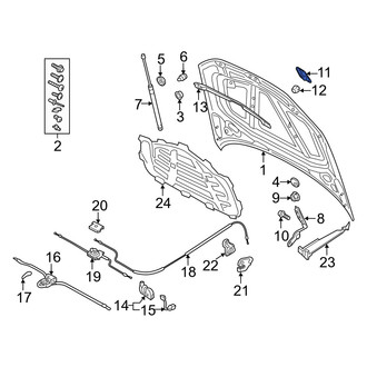 Audi OE - Front Right Hood Latch Striker Plate