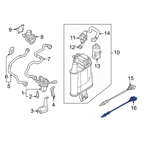 Oxygen Sensor