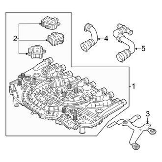 Audi OE - Cooling - Hoses & Lines (Front)
