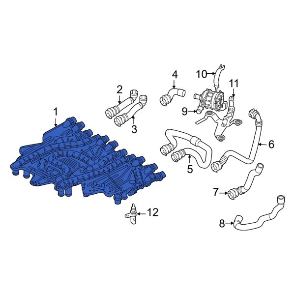 Radiator Coolant Hose