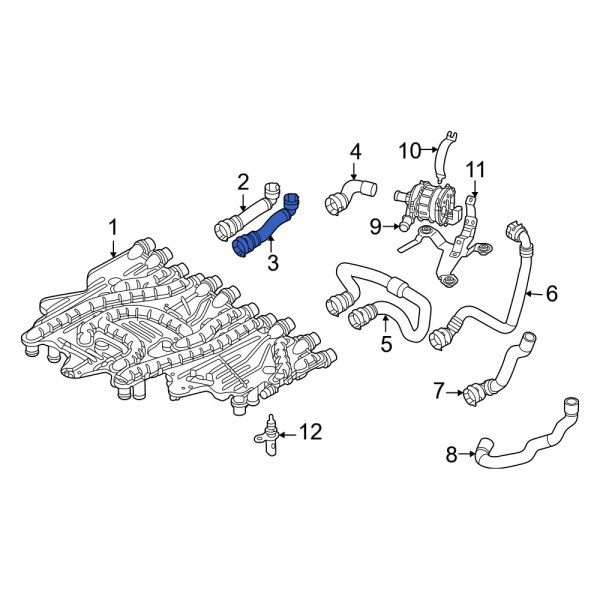 Radiator Coolant Hose