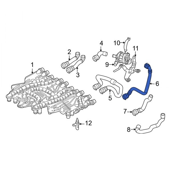 Radiator Coolant Hose