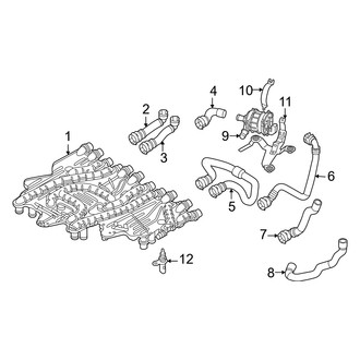 Audi OE - Cooling - Hoses & Lines (Center)