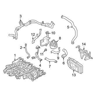 Audi OE - Cooling - Hoses & Lines (Right)