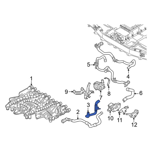 Radiator Coolant Hose