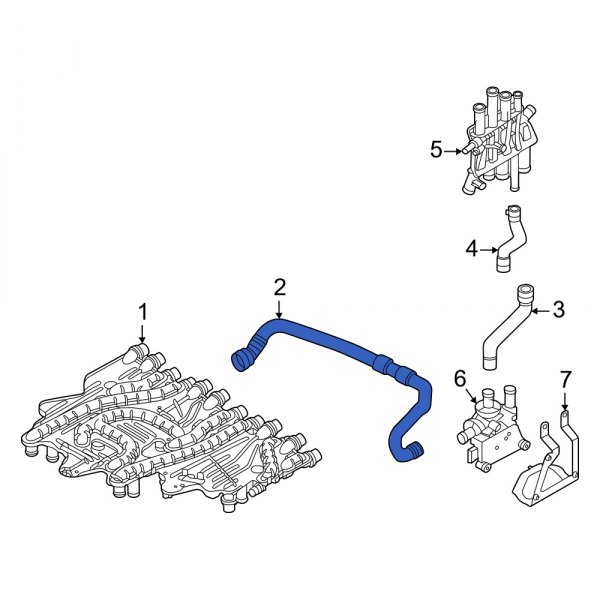 Radiator Coolant Hose