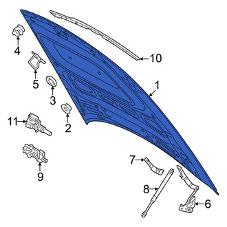 Audi OE - Front Hood Panel