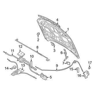 Audi OE - Hood & Components