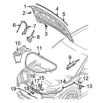 Audi OE - Front Left Hood Latch Striker Plate
