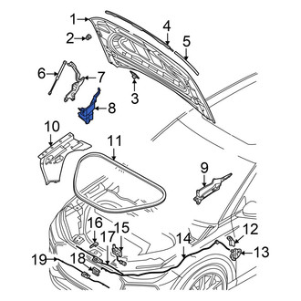 Audi OE - Front Right Hood Hinge Cover