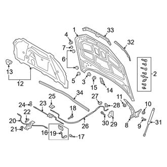 Audi OE - Hood & Components