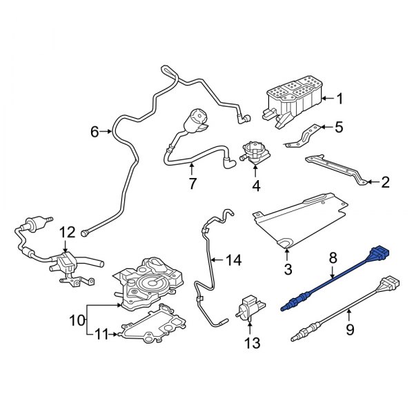 Oxygen Sensor