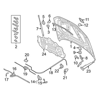 Audi OE - Hood & Components