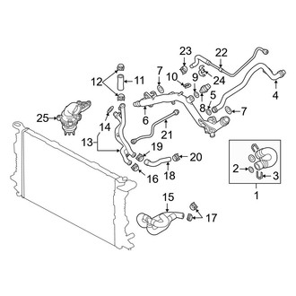Audi OE - Cooling - Hoses & Lines (Supply)