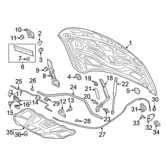 Audi OE - Hood & Components