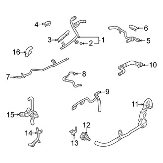 Audi OE - Cooling - Hoses & Lines (Center), (Premium Plus / Prestige 2.0L)