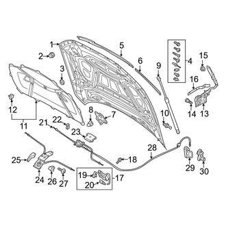 Audi OE - Hood & Components