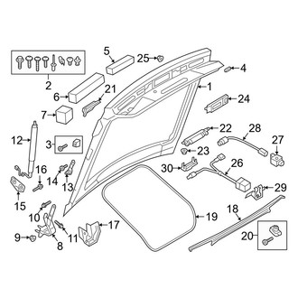 Audi OE - Lift Gate - Gate & Hardware