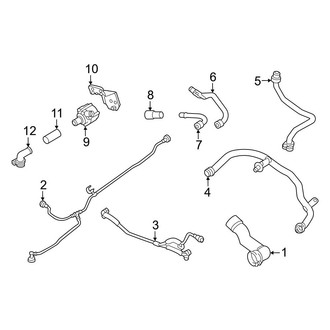 Audi OE - Cooling - Hoses & Lines (Main)