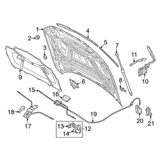 Audi OE - Hood & Components