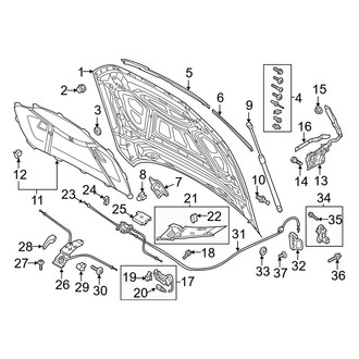 Audi OE - Hood & Components