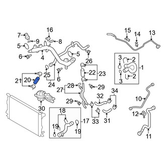 Audi OE - Lower Radiator Coolant Hose
