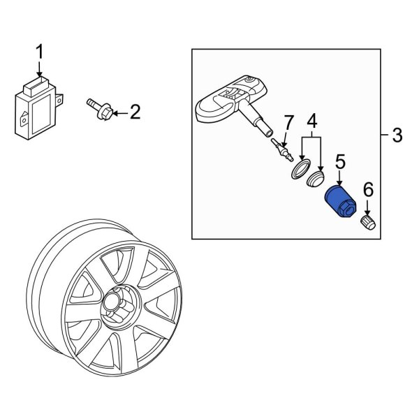 Tire Pressure Monitoring System (TPMS) Sensor Nut