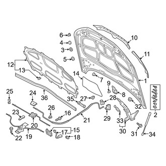 Audi OE - Hood & Components