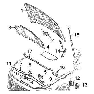 Audi OE - Hood & Components