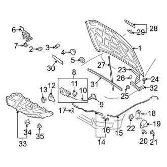 Audi OE - Hood & Components