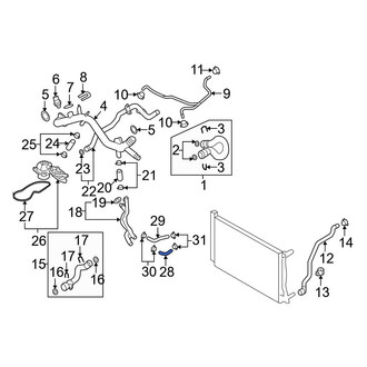 Audi OE - Lower Radiator Coolant Hose