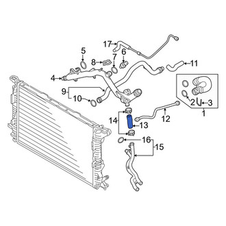 Audi OE - Lower Radiator Coolant Hose