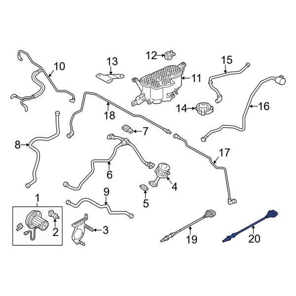 Oxygen Sensor