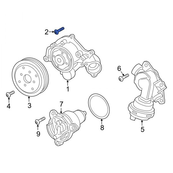 Engine Water Pump Bolt