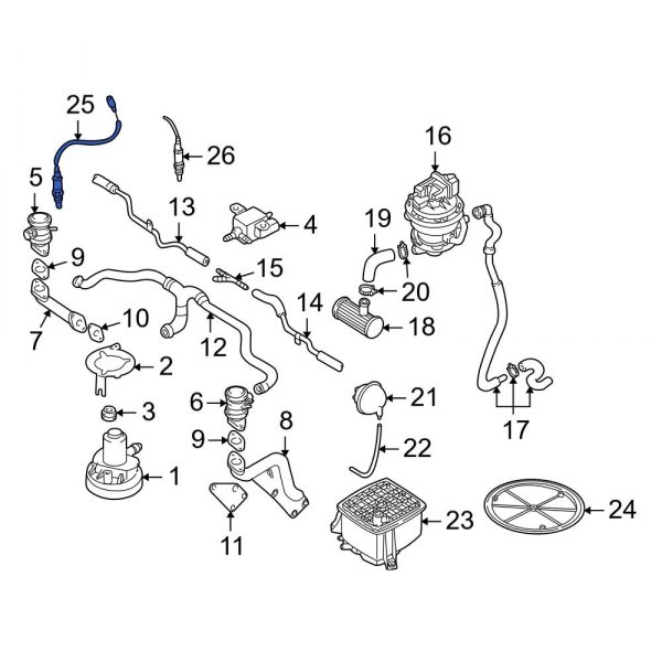 Oxygen Sensor