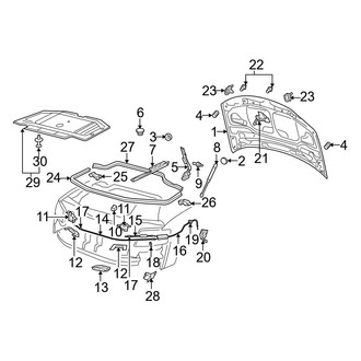 Audi OE - Hood & Components