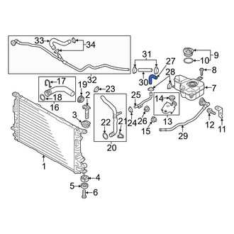 Audi OE - Engine Coolant Overflow Hose