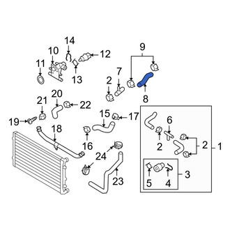 Audi OE - Lower Radiator Coolant Hose
