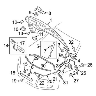 Audi OE - Hood & Components
