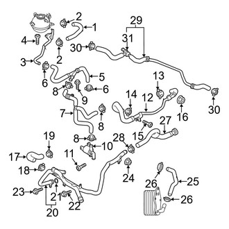 Audi OE - Cooling - Hoses & Lines (Rear)